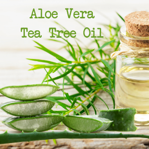 matte face primer shine-free aloe vera tea tree makeup base hydrates mattifying botanicals oily acne
