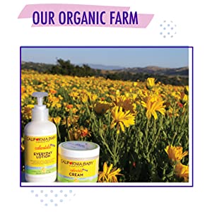 Our Organic Farm