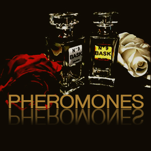 pure pheromones