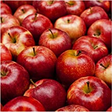 apple fruit extract