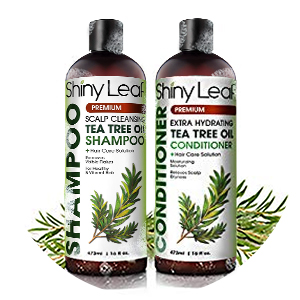 Tea Tree Oil Shampoo and Conditioner