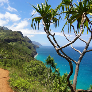 Napali Coast, Hawaii - Eavara Natural & Organic Skin Care
