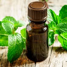 Peppermint Face Wash Peppermint oil