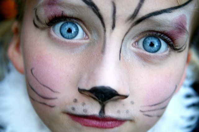 makeup ideas for cat face