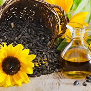 Sahmpoo bar dry hair sunflower oil