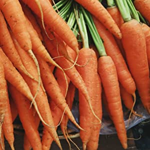 carrots organic vegan natural